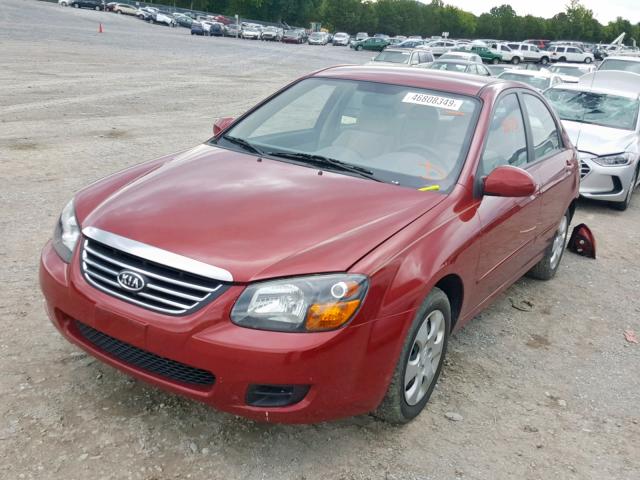 KNAFE221195601914 - 2009 KIA SPECTRA EX MAROON photo 2