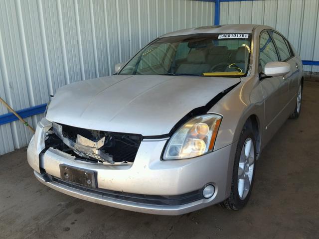 1N4BA41E65C827603 - 2005 NISSAN MAXIMA SE GOLD photo 2