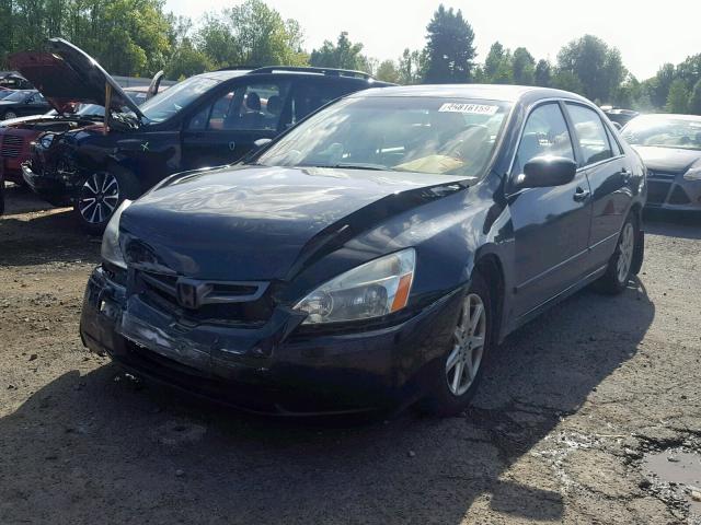 1HGCM66583A036994 - 2003 HONDA ACCORD BLACK photo 2