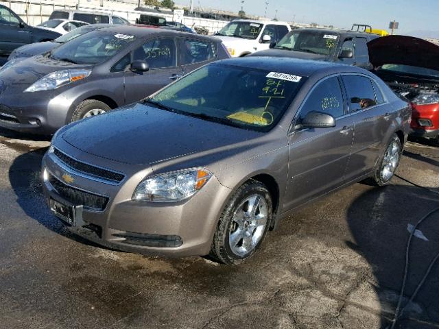 1G1ZB5E03CF249037 - 2012 CHEVROLET MALIBU LS 棕色 照片 2