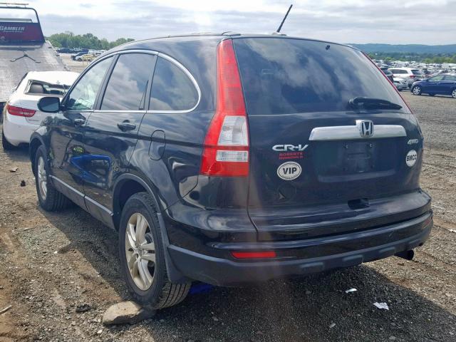 5J6RE4H70AL075843 - 2010 HONDA CR-V EXL BLACK photo 3