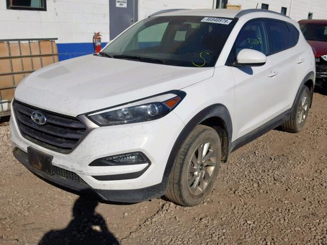 KM8J3CA49GU256988 - 2016 HYUNDAI TUCSON LIM WHITE photo 2