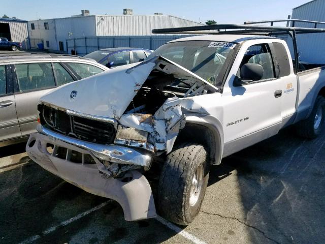 1B7GG22Y8WS619774 - 1998 DODGE DAKOTA WHITE photo 2