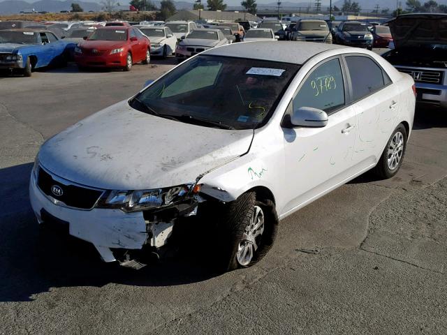 KNAFU4A22D5645924 - 2013 KIA FORTE EX WHITE photo 2