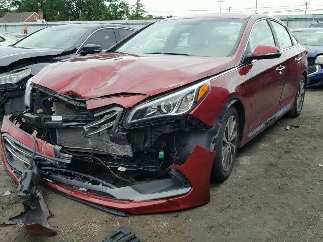 5NPE34AF6FH090712 - 2015 HYUNDAI SONATA SPO RED photo 2