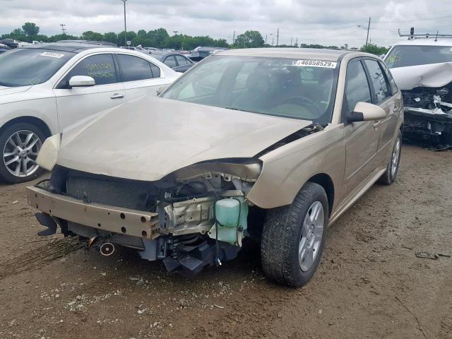 1G1ZT61856F110496 - 2006 CHEVROLET MALIBU MAX 金色 照片 2