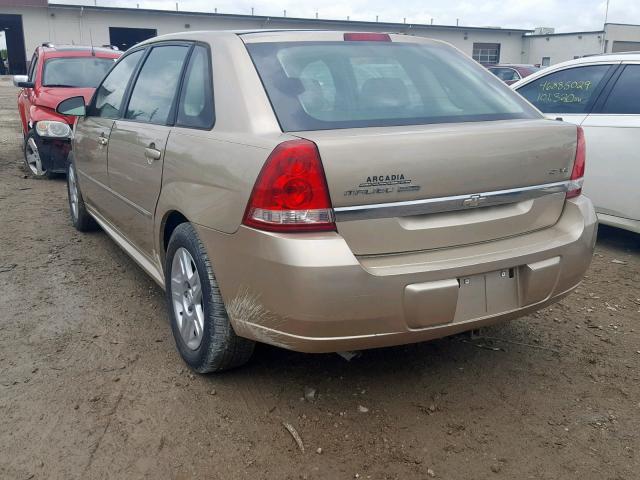 1G1ZT61856F110496 - 2006 CHEVROLET MALIBU MAX 金色 照片 3