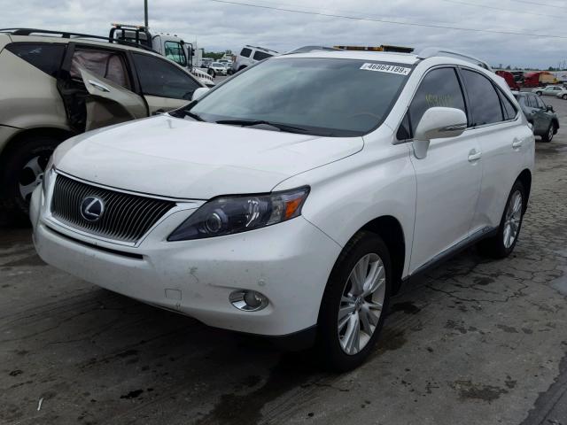 JTJBC1BA4A2011856 - 2010 LEXUS RX 450 WHITE photo 2