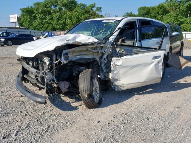 4S2CE58X734602246 - 2003 ISUZU AXIOM XS Ağ foto 2