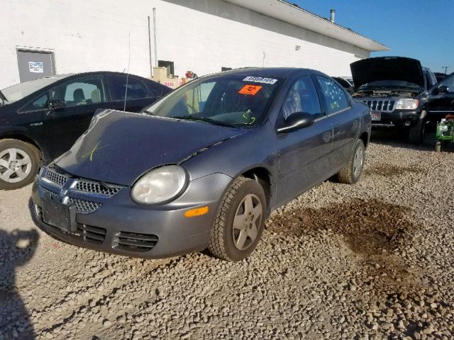 1B3ES26C85D224826 - 2005 DODGE NEON BASE GRAY photo 2