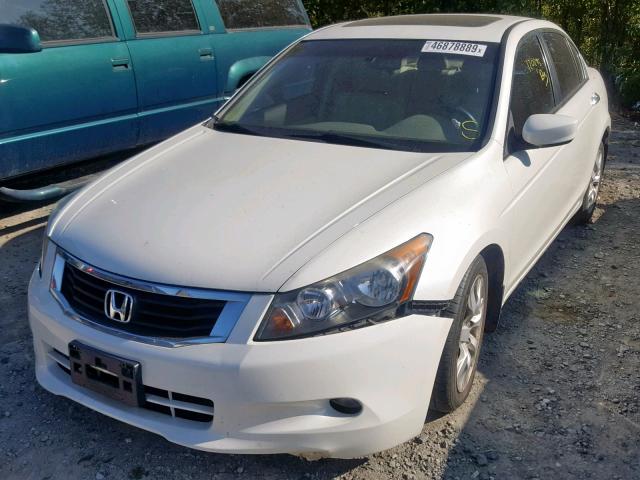 1HGCP3F82AA006175 - 2010 HONDA ACCORD EXL WHITE photo 2