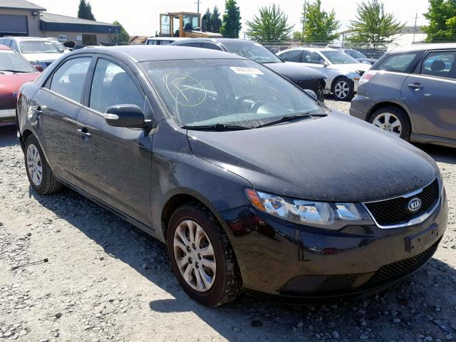 KNAFU4A23A5200328 - 2010 KIA FORTE EX BLACK photo 1