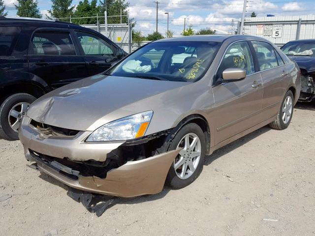 1HGCM66583A007690 - 2003 HONDA ACCORD GOLD photo 2