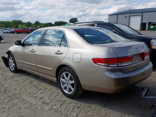 1HGCM66583A007690 - 2003 HONDA ACCORD GOLD photo 3