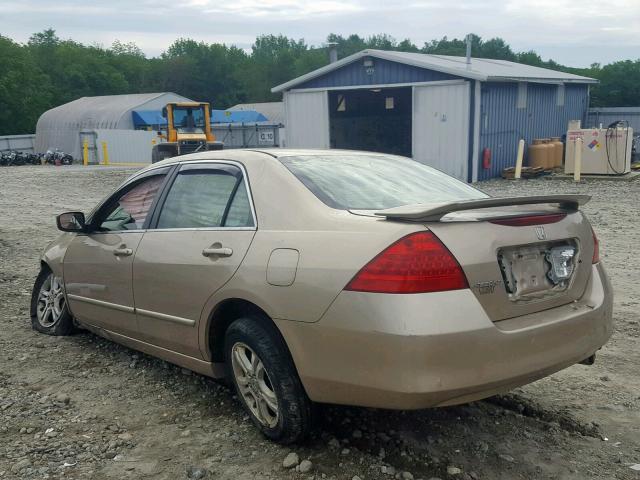 1HGCM56737A145395 - 2007 HONDA ACCORD EX TAN photo 3