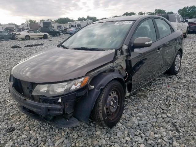 KNAFU4A25A5273670 - 2010 KIA FORTE EX BROWN photo 2