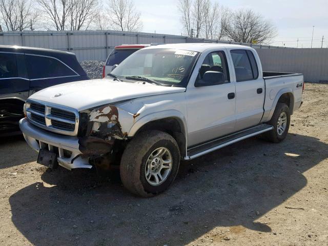 1D7HG48N54S525271 - 2004 DODGE DAKOTA QUA WHITE photo 2