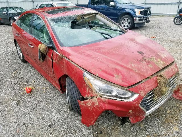 5NPE34AF0JH641256 - 2018 HYUNDAI SONATA SPO RED photo 1