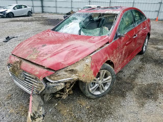 5NPE34AF0JH641256 - 2018 HYUNDAI SONATA SPO RED photo 2