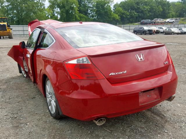 1HGCS21828A015923 - 2008 HONDA ACCORD EXL RED photo 3