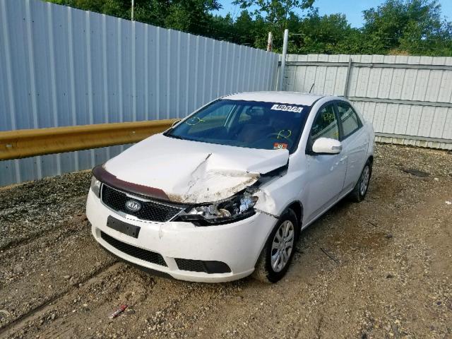 KNAFU4A22A5100835 - 2010 KIA FORTE EX WHITE photo 2