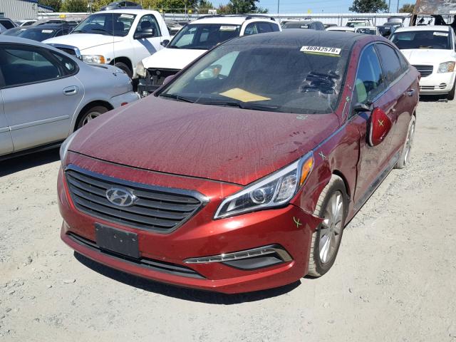 5NPE34AF2FH016266 - 2015 HYUNDAI SONATA SPO RED photo 2