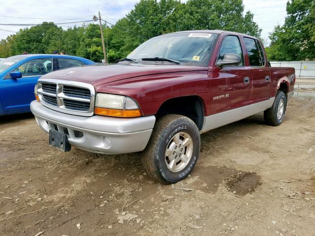 1B7HG48N02S656874 - 2002 DODGE DAKOTA QUA BURGUNDY photo 2