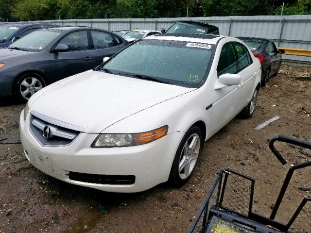 19UUA66266A022938 - 2006 ACURA 3.2TL WHITE photo 2