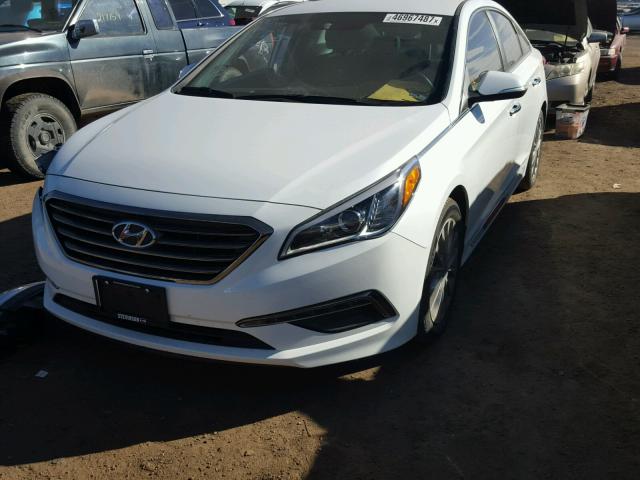 5NPE34AF7FH022029 - 2015 HYUNDAI SONATA SPO WHITE photo 2