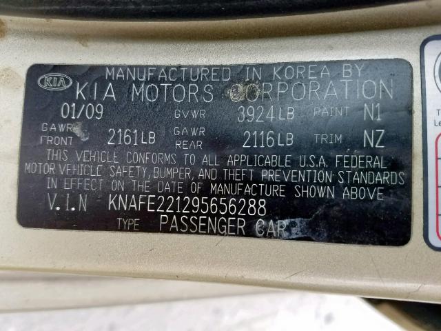 KNAFE221295656288 - 2009 KIA SPECTRA EX GOLD photo 10