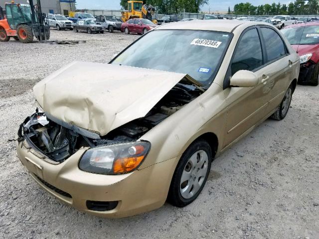 KNAFE221295656288 - 2009 KIA SPECTRA EX GOLD photo 2