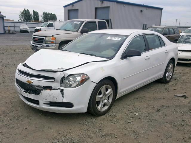 1G1ZA5E08CF393069 - 2012 CHEVROLET MALIBU LS WHITE photo 2