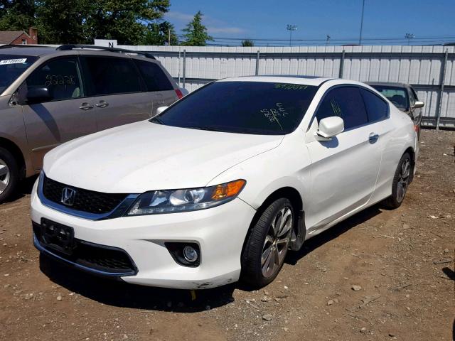 1HGCT2B84EA005059 - 2014 HONDA ACCORD EXL WHITE photo 2