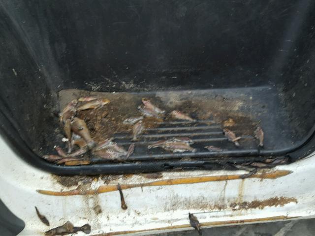 3C6URVJD4FE516102 - 2015 RAM PROMASTER Ağ foto 9