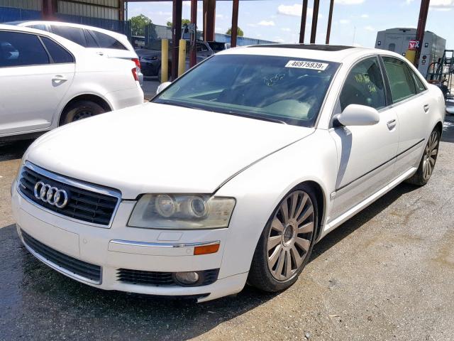 WAULL44E35N005914 - 2005 AUDI A8 4.2 QUA WHITE photo 2