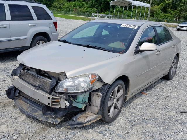 1G1ZC5EU4BF192507 - 2011 CHEVROLET MALIBU 1LT 金色 照片 2