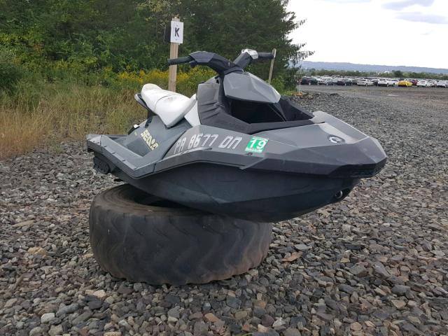 CAYDV05458J314 - 2014 BOMBARDIER SEADOO GRAY photo 1