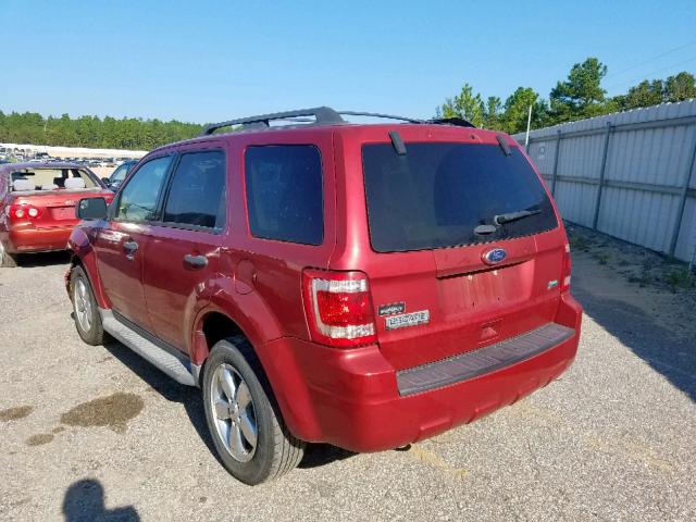 1FMCU0DG5CKA41592 - 2012 FORD ESCAPE XLT RED photo 3