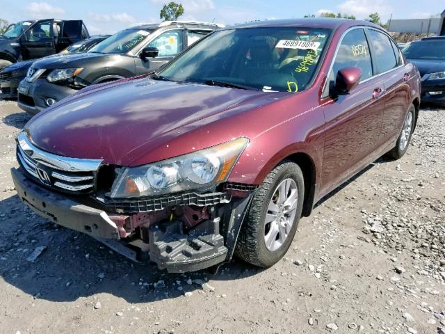 1HGCP2F41CA135969 - 2012 HONDA ACCORD LXP BURGUNDY photo 2