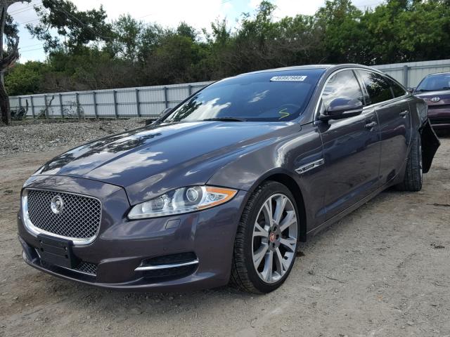 SAJWA1GE7BMV03388 - 2011 JAGUAR XJ SUPERCH PURPLE photo 2