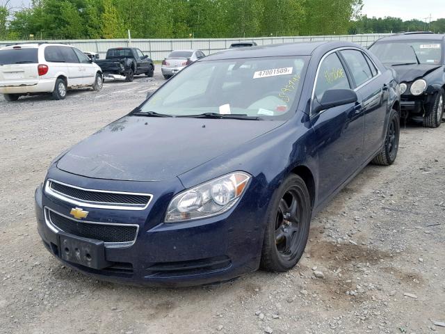 1G1ZB5E17BF312583 - 2011 CHEVROLET MALIBU LS BLUE photo 2