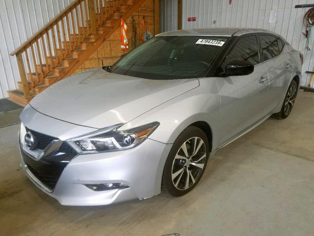 1N4AA6AP9GC378428 - 2016 NISSAN MAXIMA 3.5 SILVER photo 2