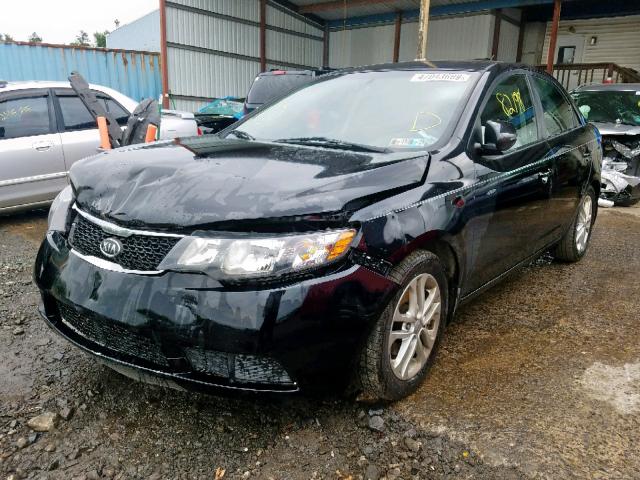 KNAFU4A26C5480684 - 2012 KIA FORTE EX BLACK photo 2