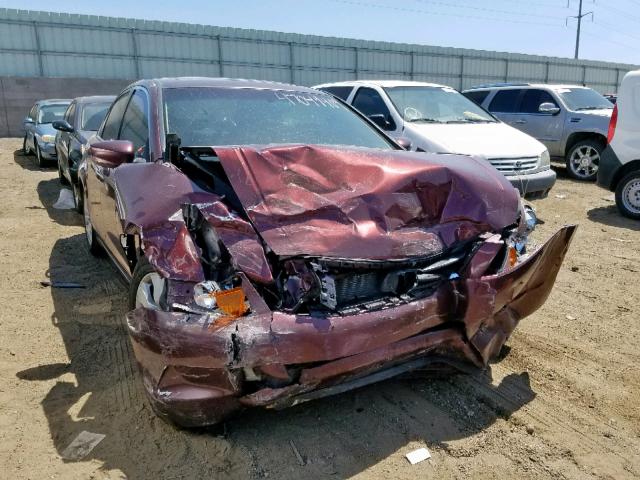 JHMCP268X8C044579 - 2008 HONDA ACCORD EXL BURGUNDY photo 1