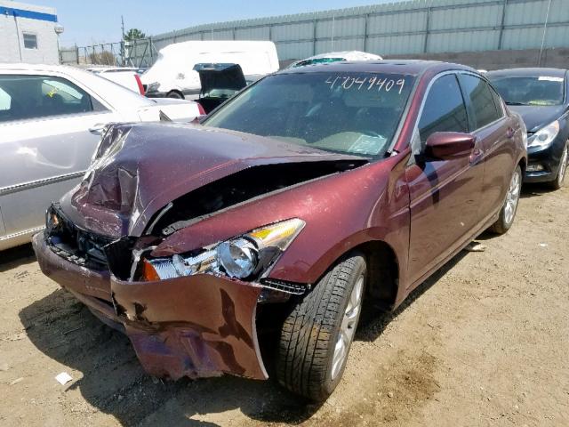 JHMCP268X8C044579 - 2008 HONDA ACCORD EXL BURGUNDY photo 2