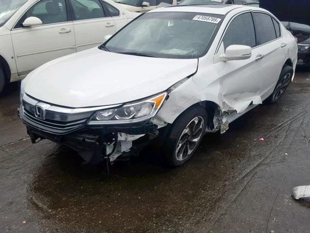 1HGCR2F85GA161431 - 2016 HONDA ACCORD EXL WHITE photo 2