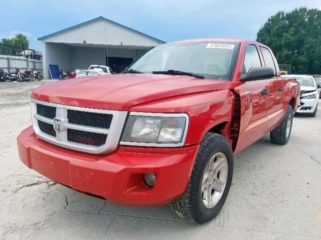 1D7RW3GK5BS667111 - 2011 DODGE DAKOTA SLT RED photo 2