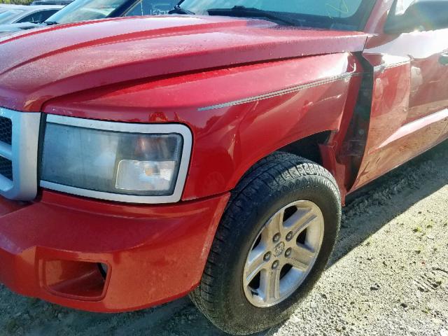 1D7RW3GK5BS667111 - 2011 DODGE DAKOTA SLT RED photo 9