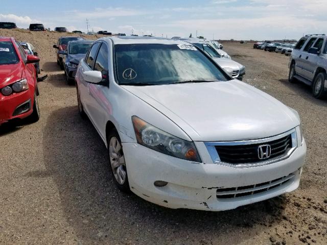 1HGCP36838A026090 - 2008 HONDA ACCORD EXL WHITE photo 1