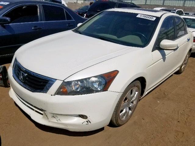 1HGCP36838A026090 - 2008 HONDA ACCORD EXL WHITE photo 2